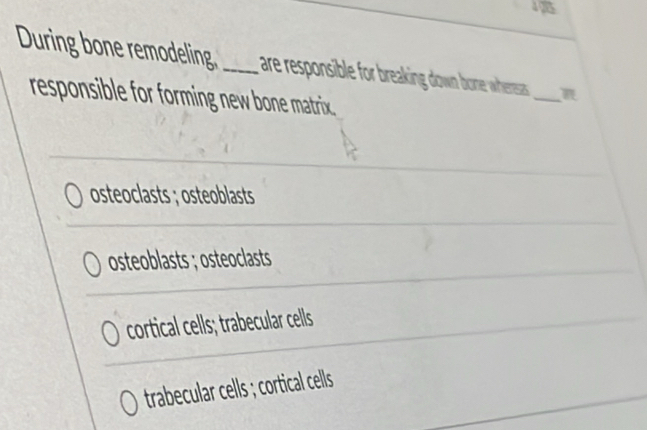 During bone remodeling. _ are responsible for breaking down bone wheresas.
responsible for forming new bone matrix
_
osteoclasts ; osteoblasts
osteoblasts ; osteoclasts
cortical cells; trabecular cells
trabecular cells ; cortical cells