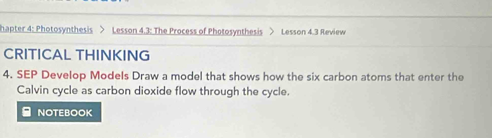 hapter 4: Photosynthesis Lesson 4.3: The Process of Photosynthesis Lesson 4.3 Review 
CRITICAL THINKING 
4. SEP Develop Models Draw a model that shows how the six carbon atoms that enter the 
Calvin cycle as carbon dioxide flow through the cycle. 
NOTEBOOK