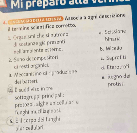 Mi preparo atta ver
4. LINCUACCIODELLASCIENZA Associa a ogni descrizione
il termine scientifico corretto.
1. Organismi che si nutrono a. Scissione
di sostanze già presenti binaria
nell’ambiente esterno. b. Micelio
2. Sono decompositori c. Saprofiti
di resti organici.
3. Meccanismo di riproduzione d. Eterotrofi
dei batteri. e. Regno dei
4. È suddiviso in tre protisti
sottogruppi principali:
protozoi, alghe unicellulari e
funghi mucillaginosi.
5. È il corpo dei funghi
pluricellulari.