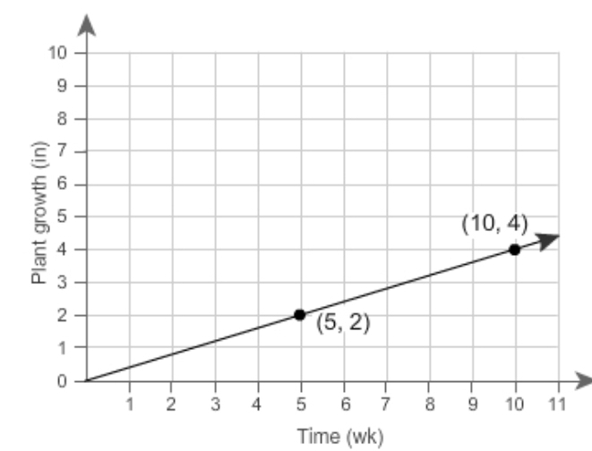 Time (wk)