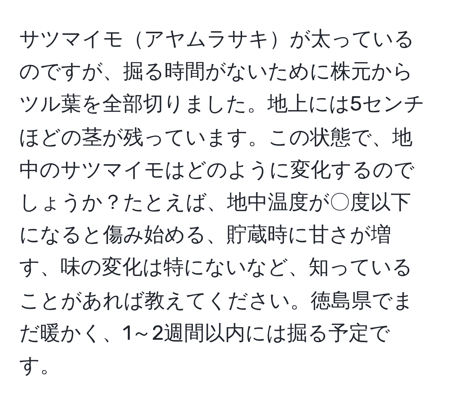 サツマイモアヤムラサキが太っているのですが、掘る時間がないために株元からツル葉を全部切りました。地上には5センチほどの茎が残っています。この状態で、地中のサツマイモはどのように変化するのでしょうか？たとえば、地中温度が〇度以下になると傷み始める、貯蔵時に甘さが増す、味の変化は特にないなど、知っていることがあれば教えてください。徳島県でまだ暖かく、1～2週間以内には掘る予定です。