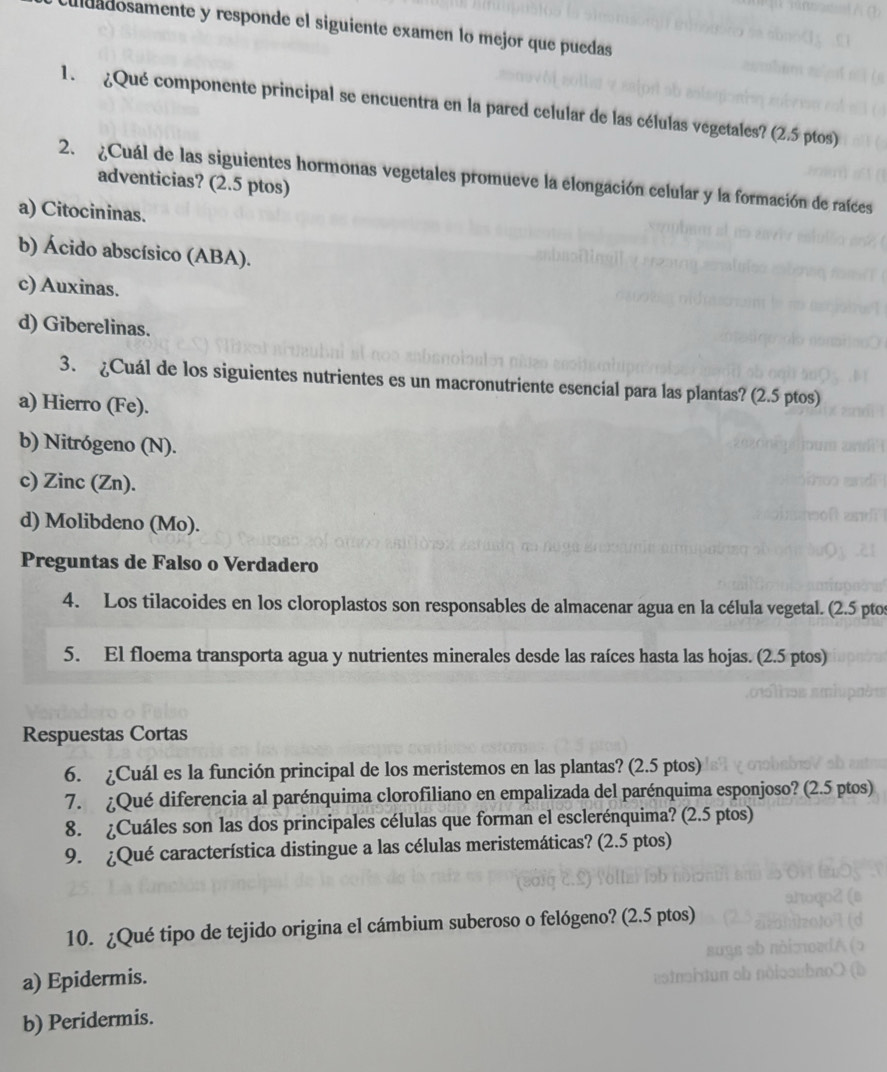 udadosamente y responde el siguiente examen lo mejor que puedas
1. ¿Qué componente principal se encuentra en la pared celular de las células vegetales? (2.5 ptos)
2. ¿Cuál de las siguientes hormonas vegetales promueve la elongación celular y la formación de raíces
adventicias? (2.5 ptos)
a) Citocininas.
b) Ácido abscísico (ABA).
c) Auxinas.
d) Giberelinas.
3. ¿Cuál de los siguientes nutrientes es un macronutriente esencial para las plantas? (2.5 ptos)
a) Hierro (Fe).
b) Nitrógeno (N).
c) Zinc (Zn).
d) Molibdeno (Mo).
Preguntas de Falso o Verdadero
4. Los tilacoides en los cloroplastos son responsables de almacenar agua en la célula vegetal. (2.5 ptos
5. El floema transporta agua y nutrientes minerales desde las raíces hasta las hojas. (2.5 ptos)
Respuestas Cortas
6. ¿Cuál es la función principal de los meristemos en las plantas? (2.5 ptos)
7. ¿Qué diferencia al parénquima clorofiliano en empalizada del parénquima esponjoso? (2.5 ptos)
8. ¿Cuáles son las dos principales células que forman el esclerénquima? (2.5 ptos)
9. ¿Qué característica distingue a las células meristemáticas? (2.5 ptos)
10. ¿Qué tipo de tejido origina el cámbium suberoso o felógeno? (2.5 ptos)
a) Epidermis.
b) Peridermis.