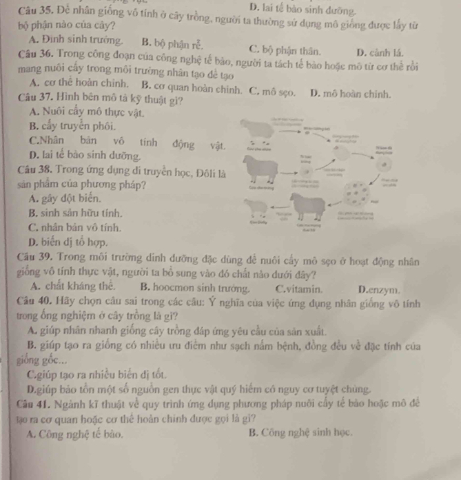 D. lai tế bào sinh dưỡng.
Câu 35. Đễ nhân giống vô tính ở cây trồng, người ta thường sử dụng mô giống được lấy từ
bộ phận nào của cây?
A. Đình sinh trưởng. B. bộ phận rễ. C. bộ phận thân. D. cảnh lá.
Câu 36. Trong công đoạn của công nghệ tế bào, người ta tách tế bào hoặc mô từ cơ thể rồi
mang nuôi cấy trong môi trường nhân tạo đề tạo
A. cơ thể hoàn chỉnh. B. cơ quan hoàn chinh. C. mô sẹo. D. mô hoàn chỉnh.
Câu 37. Hình bên mô tả kỹ thuật gì?
A. Nuôi cấy mô thực vật.
B. cấy truyển phối.
C.Nhân bản vô tính động vật
D. lai tế bào sinh dưỡng. 
Câu 38. Trong ứng dụng di truyền học, Đôli là
sản phẩm của phương pháp?
A. gây đột biến.
B. sinh sản hữu tính.
C. nhân bản vô tính.
D. biến đị tổ hợp.
Cầu 39. Trong môi trường dinh dưỡng đặc dùng để nuôi cấy mô sẹo ở hoạt động nhân
giống vô tính thực vật, người ta bồ sung vào đó chất nào dưới đây?
A. chất kháng thể. B. hoocmon sinh trưởng. C.vitamin. D.enzym.
Câu 40. Hãy chọn câu sai trong các câu: Ý nghĩa của việc ứng dụng nhân giống vô tính
trong ống nghiệm ở cây trồng là gi?
A. giúp nhân nhanh giống cây trồng đáp ứng yêu cầu của sản xuất.
B. giúp tạo ra giống có nhiều ưu điểm như sạch nấm bệnh, đồng đều về đặc tính của
giống gốc...
C.giúp tạo ra nhiều biển dị tốt.
D.giúp bảo tồn một số nguồn gen thực vật quý hiếm có nguy cơ tuyệt chùng.
Câu 41. Ngành kĩ thuật về quy trình ứng dụng phương pháp nuôi cấy tế bào hoặc mô để
tạo ra cơ quan hoặc cơ thể hoàn chinh được gọi là gi?
A. Công nghệ tế bào. B. Công nghệ sinh học