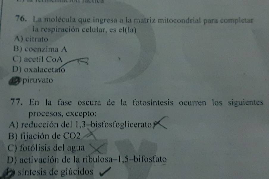 La molécula que ingresa a la matriz mitocondrial para completar
la respiración celular, es el(la)
A) citrato
B) coenzima A
C) acetil CoA
D) oxalacetato
1 piruvato
77. En la fase oscura de la fotosíntesis ocurren los siguientes
procesos, excepto:
A) reducción del 1,3-bisfosfoglicerato
B) fijación de CO2
C) fotólisis del agua
D) activación de la ribulosa -1, 5 -bifosfato
a síntesis de glúcidos