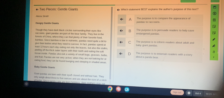 « Two Pieces: Gentle Giants Which statement BEST explains the author's purpose of this text?
Alecia Strohl The purpose is to compare the appearance of
A
Hungry Gentle Giants pandas to raccoons.
Though they have dark black circles surrounding their eyes like B The purpose is to persuade readers to help save
raccoons, giant pandas are part of the bear family. They live in the endangered pandas.
forests of China, where they can find plenty of their favorite food,
bamboo. Since bamboo is low in nutrients, pandas need quite a bit to C The purpose is to inform readers about adult and
give their bodies what they need to survive. In fact, pandas spend at
least 12 hours each day eating not only the leaves, but also the stalks. baby giant pandas.
peeling off the thick outer layers with their teeth and eating the soft The purpose is to entertain readers with a story
tissue inside. Pandas also eat a variety of small bugs, grasses, bulbs, about a panda bear.
and fruit. Pandas are not very active; when they are not looking for or
eating food, they can be found lounging and sleeping in shaded areas
Baby Gentle Giants
Giant pandas are born with their eyes closed and without hair. They
only weigh about three to five ounces and are about the size of a stick
of butter. Since panda cubs are born helpless, their mothers may not
Sign out 10:29 IN
Oct