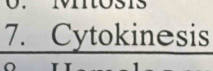 Cytokinesis