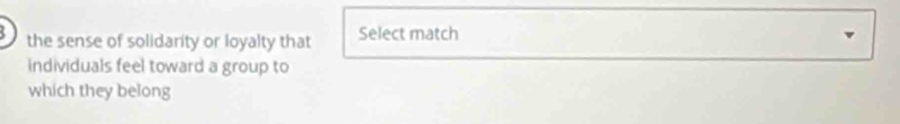 the sense of solidarity or loyalty that Select match 
individuals feel toward a group to 
which they belong