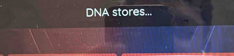 DNA stores...