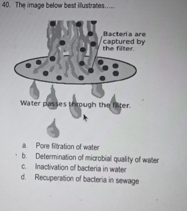 The image below best illustrates.....
a. Pore filtration of water
b. Determination of microbial quality of water
c. Inactivation of bacteria in water
d. Recuperation of bacteria in sewage