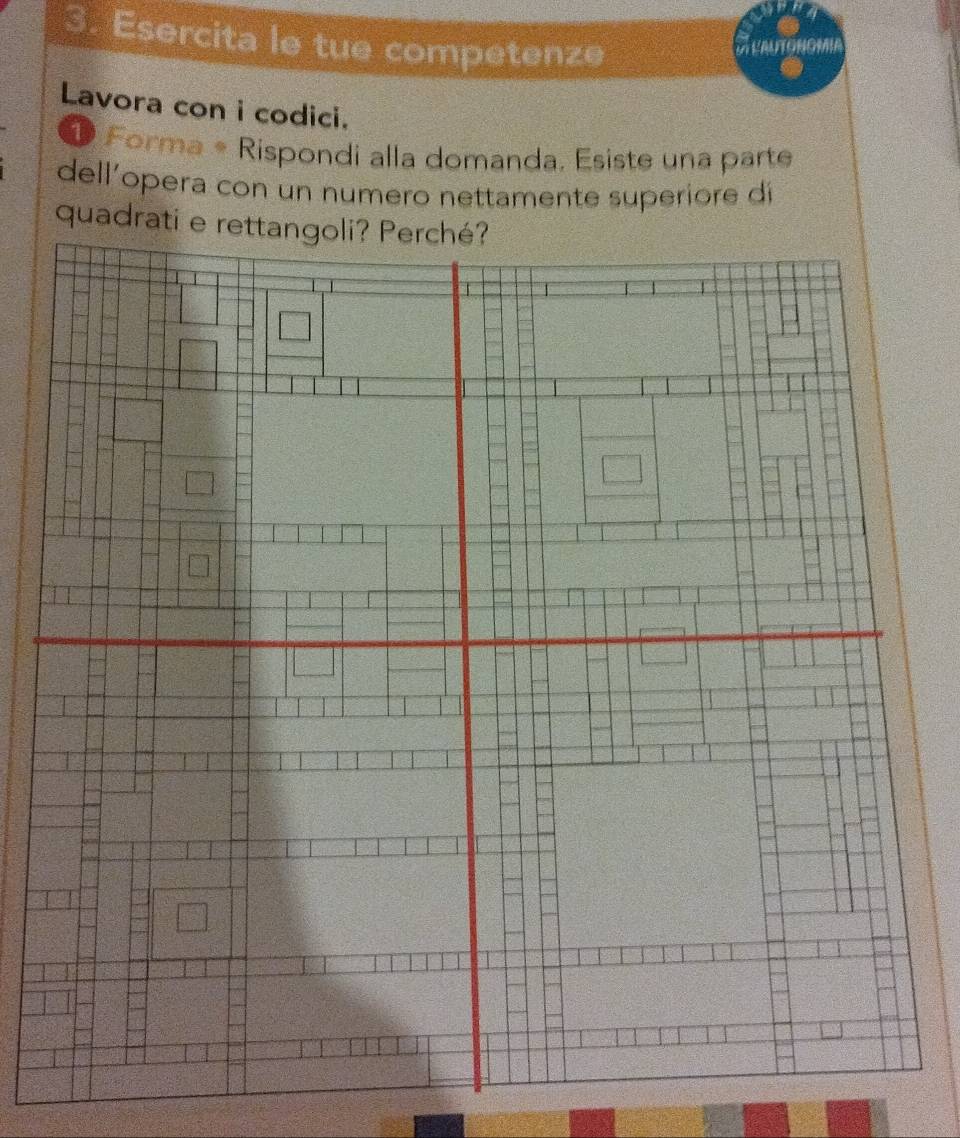 Esercita le tue competenze 
D EMONOMI 
Lavora con i codici. 
O Forma * Rispondi alla domanda, Esiste una parte 
dell'opera con un numero nettamente superiore dí 
quadr