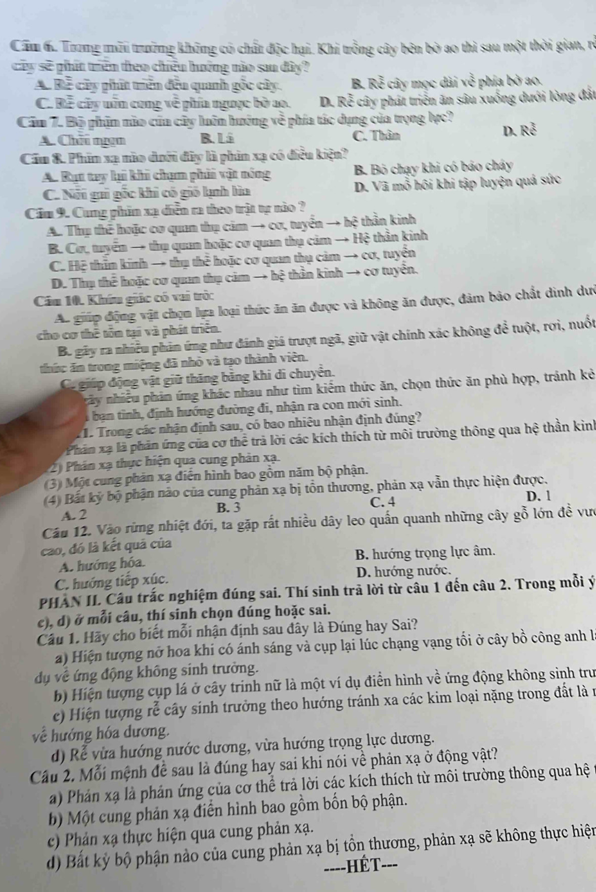 Cầm h. Trong môi trường không có chất độc hại. Khi trồng cây bên bờ ao thì sau một thời gian, rò
cây sẽ phít triên theo chiếu hướng nào sau đây?
A. Rề cây phít triên đều quanh gốc cây. B. Roverline xi  cây mọc dài mwidehat es phía bờ ao.
C. Bễ cây uần cong về phía ngưực bờ ao. D. Rhat e cây phát triển ăn sâu xuống dưới lòng đất
Căm 7. Bộ phận nào cũa cây luôn hướng về phía tác dụng của trọng lực?
A. Chếu ngạn B. Lá C. Thân
D. Rhat ^3
Cầu 8. Phin xạ nào dưới đây là phản xạ có điều kiện?
A. Rụt tay li khi chạm phii vật nóng B. Bó chạy khi có báo cháy
C. Nổi gai gốc khi có gió lạnh lùa D. Vã mỗ hôi khi tập luyện quá sức
Cầm 9. Cung phim xạ diễn ra theo trật tự nào ?
A. Thụ thế hoặc cơ quan thụ cảm → cơ, tuyển → hệ thần kinh
B. Cơ, tuyển → thụ quan hoặc cơ quan thụ cảm → Hệ thần kinh
C. Hệ thần kinh → thụ thể hoặc cơ quan thụ cảm → cơ, tuyển
D. Thụ thể hoặc cơ quan thụ cảm → hệ thần kinh → cơ tuyển.
Cầu 10. Khíu giác có vai tròc
Ac giúp động vật chọn lựa loại thức ăn ăn được và không ăn được, đảm bảo chất dinh dưc
cho cơ thể tôn tại và phát triển.
Be gây ra nhiều phản ứng như đánh giá trượt ngã, giữ vật chính xác không để tuột, rơi, nuốt
thức ăn trong miệng đã nhỏ và tạo thành viên.
Có giúp động vật giữ thăng bằng khi di chuyển.
nãy nhiều phản ứng khác nhau như tìm kiếm thức ăn, chọn thức ăn phù hợp, tránh kẻ
i  bạn tinh, định hướng đường đi, nhận ra con mới sinh.
1. Trong các nhận định sau, có bao nhiêu nhận định đúng?
Phân xạ là phản ứng của cơ thể trà lời các kích thích từ môi trường thông qua hệ thần kinh
2) Phân xạ thực hiện qua cung phản xạ.
(3) Một cung phản xạ điễn hình bao gồm năm bộ phận.
(4) Bất kỳ bộ phận nào của cung phản xạ bị tồn thương, phản xạ vẫn thực hiện được.
B. 3 C. 4 D. 1
A. 2
Cầu 12. Vào rừng nhiệt đới, ta gặp rất nhiều dây leo quấn quanh những cây gỗ lớn đề vưc
cao, đó là kết quả của
A. hướng hóa. B. hướng trọng lực âm.
C. hướng tiếp xúc. D. hướng nước.
PHAN II Câu trắc nghiệm đúng sai. Thí sinh trã lời từ câu 1 đến câu 2. Trong mỗi ý
c), d) ở mỗi câu, thí sinh chọn đúng hoặc sai.
Câu 1. Hãy cho biết mỗi nhận định sau đây là Đúng hay Sai?
a) Hiện tượng nở hoa khi có ánh sáng và cụp lại lúc chạng vạng tối ở cây bồ công anh l
dụ về ứng động không sinh trưởng.
b) Hiện tượng cụp lá ở cây trinh nữ là một ví dụ điền hình về ứng động không sinh trư
2 cá cây sinh trưởng theo hướng tránh xa các kim loại nặng trong đất là n
) Hiện tượng rc
về hướng hóa dương.
d) Rể vừa hướng nước dương, vừa hướng trọng lực dương.
Cầu 2. Mỗi mệnh để sau là đúng hay sai khi nói về phản xạ ở động vật?
a) Phản xạ là phản ứng của cơ thể trả lời các kích thích từ môi trường thông qua hệ
b) Một cung phản xạ điển hình bao gồm bốn bộ phận.
c) Phản xạ thực hiện qua cung phản xạ.
d) Bất kỳ bộ phận nào của cung phản xạ bị tồn thương, phản xạ sẽ không thực hiện
----HếT- --