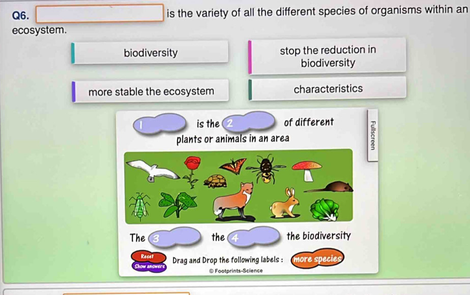 is the variety of all the different species of organisms within an
ecosystem.
biodiversity stop the reduction in
biodiversity
more stable the ecosystem characteristics