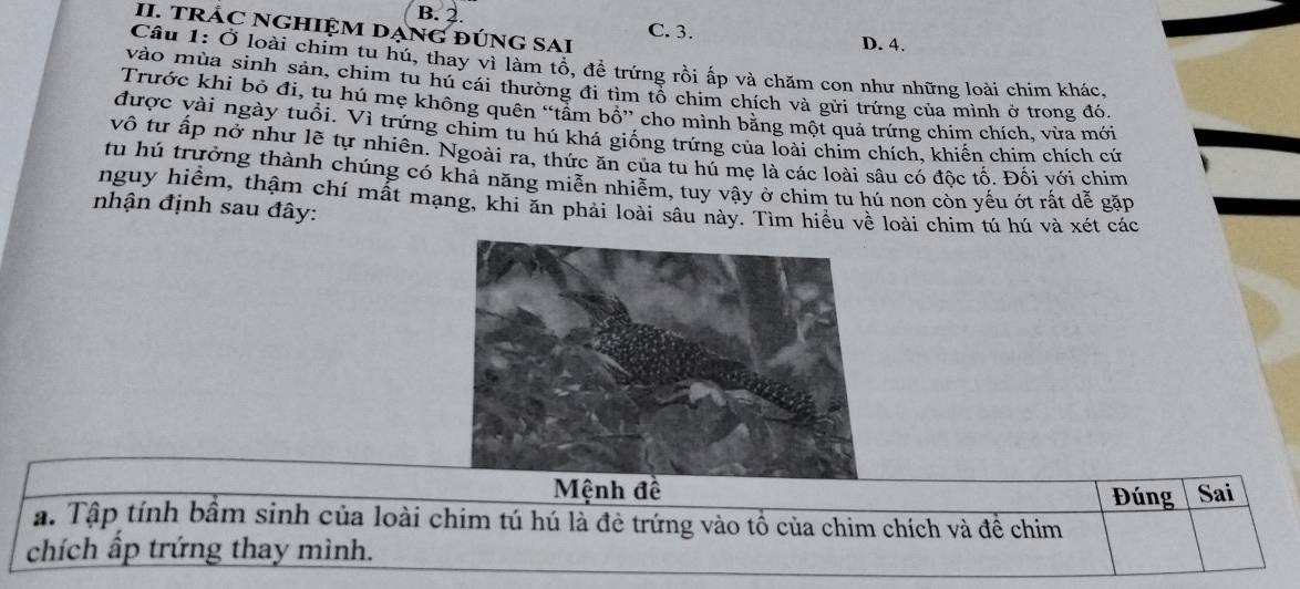 B. 2. C. 3.
II. TRÁC NGHIỆM DẠNG ĐÚNG SAI
D. 4.
Câu 1: Ở loài chim tu hú, thay vì làm tổ, đề trứng rồi ấp và chăm con như những loài chim khác.
vào mùa sinh sản, chim tu hú cái thường đi tìm tổ chim chích và gửi trứng của mình ở trong đó.
Trước khi bỏ đi, tu hú mẹ không quên “tầm bồ” cho mình bằng một quả trứng chim chích, vừa mới
được vài ngày tuổi. Vì trứng chim tu hú khá giống trứng của loài chỉm chích, khiến chim chích cứ
vô tư ấp nở như lẽ tự nhiên. Ngoài ra, thức ăn của tu hú mẹ là các loài sâu có độc tố. Đối với chim
tu hú trưởng thành chúng có khả năng miễn nhiễm, tuy vậy ở chim tu hú non còn yếu ớt rất dễ gặp
nguy hiểm, thậm chí mất mạng, khi ăn phải loài sâu này. Tìm hiều về loài chim tú hú và xét các
nhận định sau đây:
Mệnh đề Sai
Đúng
a. Tập tính bầm sinh của loài chim tú hú là đẻ trứng vào tổ của chim chích và đề chim
chích ấp trứng thay mình.