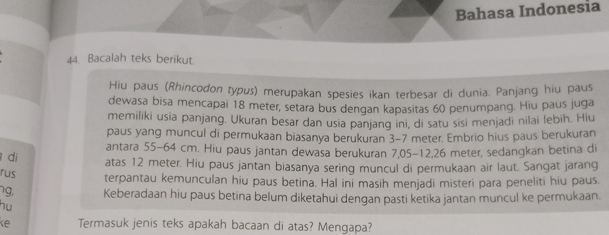 Bahasa Indonesia 
44. Bacalah teks berikut. 
Hiu paus (Rhincodon typus) merupakan spesies ikan terbesar di dunia. Panjang hiu paus 
dewasa bisa mencapai 18 meter, setara bus dengan kapasitas 60 penumpang. Hiu paus juga 
memiliki usia panjang. Ukuran besar dan usia panjang ini, di satu sisi menjadi nilai lebih. Hiu 
paus yang muncul di permukaan biasanya berukuran 3-7 meter. Embrio hius paus berukuran 
antara 55-64 cm. Hiu paus jantan dewasa berukuran 7,05-12, 26 meter, sedangkan betina di 
di 
atas 12 meter. Hiu paus jantan biasanya sering muncul di permukaan air laut. Sangat jarang 
rus 
terpantau kemunculan hiu paus betina. Hal ini masih menjadi misteri para peneliti hiu paus. 
ng, 
Keberadaan hiu paus betina belum diketahui dengan pasti ketika jantan muncul ke permukaan. 
hu 
ke Termasuk jenis teks apakah bacaan di atas? Mengapa?