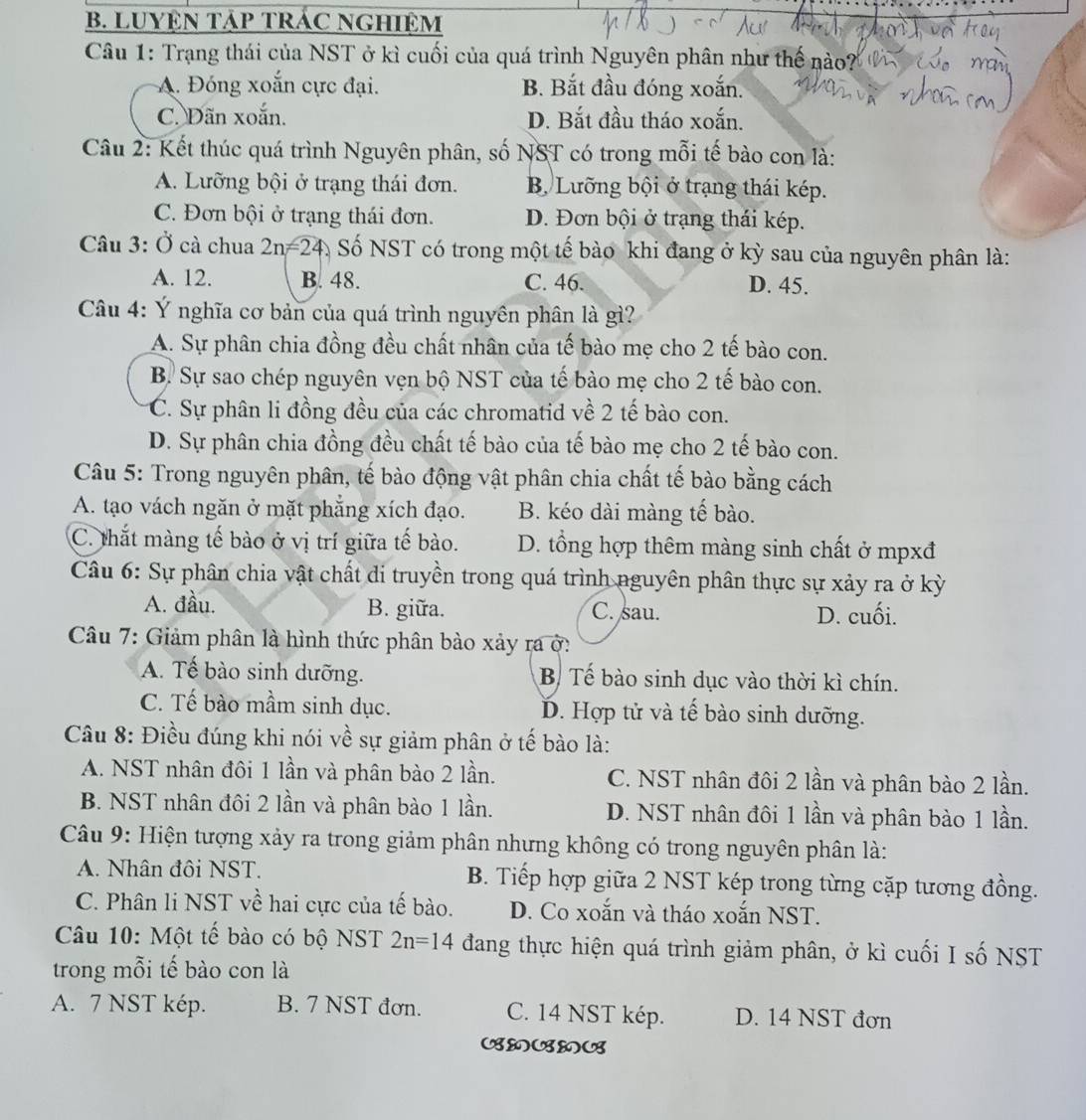 LUYỆN TậP TRÁC NGHIệM
Câu 1: Trạng thái của NST ở kì cuối của quá trình Nguyên phân như thế nào?
A. Đóng xoắn cực đại. B. Bắt đầu đóng xoắn.
C. Dãn xoắn. D. Bắt đầu tháo xoắn.
Câu 2: Kết thúc quá trình Nguyên phân, số NST có trong mỗi tế bào con là:
A. Lưỡng bội ở trạng thái đơn. B. Lưỡng bội ở trạng thái kép.
C. Đơn bội ở trạng thái đơn. D. Đơn bội ở trạng thái kép.
Câu 3: Ở cà chua 2n=24 Á Số NST có trong một tế bào khi đang ở kỳ sau của nguyên phân là:
A. 12. B. 48. C. 46. D. 45.
Câu 4: Ý nghĩa cơ bản của quá trình nguyên phân là gì?
A. Sự phân chia đồng đều chất nhân của tế bào mẹ cho 2 tế bào con.
B. Sự sao chép nguyên vẹn bộ NST của tế bào mẹ cho 2 tế bào con.
C. Sự phân li đồng đều của các chromatid về 2 tế bào con.
D. Sự phân chia đồng đều chất tế bào của tế bào mẹ cho 2 tế bào con.
Câu 5: Trong nguyên phân, tế bào động vật phân chia chất tế bào bằng cách
A. tạo vách ngăn ở mặt phẳng xích đạo. B. kéo dài màng tế bào.
C. thắt màng tế bào ở vị trí giữa tế bào. D. tổng hợp thêm màng sinh chất ở mpxđ
Câu 6: Sự phân chia vật chất di truyền trong quá trình nguyên phân thực sự xảy ra ở kỳ
A. đầu. B. giữa. C. sau. D. cuối.
Câu 7: Giảm phân là hình thức phân bào xảy ra ở:
A. Tế bào sinh dưỡng. B Tế bào sinh dục vào thời kì chín.
C. Tế bào mầm sinh dục. D. Hợp tử và tế bào sinh dưỡng.
Câu 8: Điều đúng khi nói về sự giảm phân ở tế bào là:
A. NST nhân đôi 1 lần và phân bào 2 lần. C. NST nhân đôi 2 lần và phân bào 2 lần.
B. NST nhân đôi 2 lần và phân bào 1 lần. D. NST nhân đôi 1 lần và phân bào 1 lần.
Câu 9: Hiện tượng xảy ra trong giảm phân nhưng không có trong nguyên phân là:
A. Nhân đôi NST. B. Tiếp hợp giữa 2 NST kép trong từng cặp tương đồng.
C. Phân li NST về hai cực của tế bào. D. Co xoắn và tháo xoắn NST.
Câu 10: Một tế bào có bộ NST 2n=14 đang thực hiện quá trình giảm phân, ở kì cuối I số NST
trong mỗi tế bào con là
A. 7 NST kép. B. 7 NST đơn. C. 14 NST kép. D. 14 NST đơn
७७