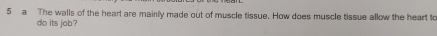 a The walls of the hearl are mainly made out of muscle tissue. How does muscle tissue allow the heart to 
do its job ?