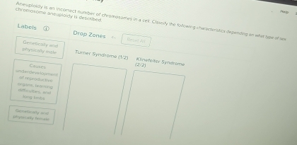 He/p 
chremonome aneuploidy is descrbed. 
Aneuploidy is an incorrect number of chrompsomes in a cek. Classify the folowing charactenistics depending an what type of sex 
Labels a Drop Zones * fesirt A 
physicoly male Geneticaly and Turer Syndrome (V2) Klnefeiter Syndrome (2/2) 
Causes 
anderdeve lopment of reproductine 
oegans heaming difficyttles, and 
long lmbs 
physically female Goneticaly a d