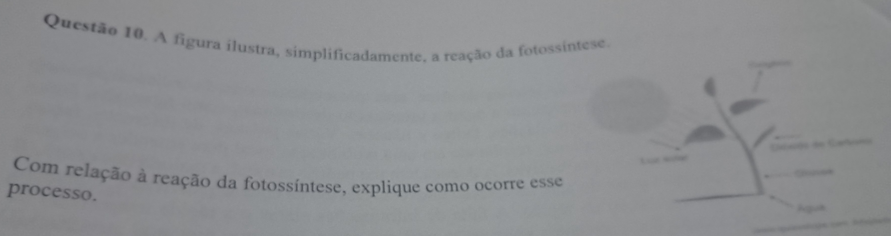 A figura ilustra, simplificadamente, a reação da fotossíntese. 
Ccuóo de Cartin 
Com relação à reação da fotossíntese, explique como ocorre esse 
See 
processo. 
hguh