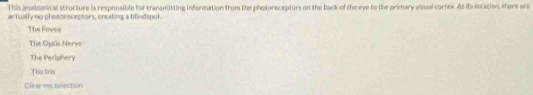 This anatomical structure is responsible for transmitting information from the photoreceptors on the back of the eye to the primary visual correx. At its location, Here are
actually no photoreceptors, creating a blindspot.
The Fovea
The Optic Nerve
The Perishery
The tris
Cle ar my siection