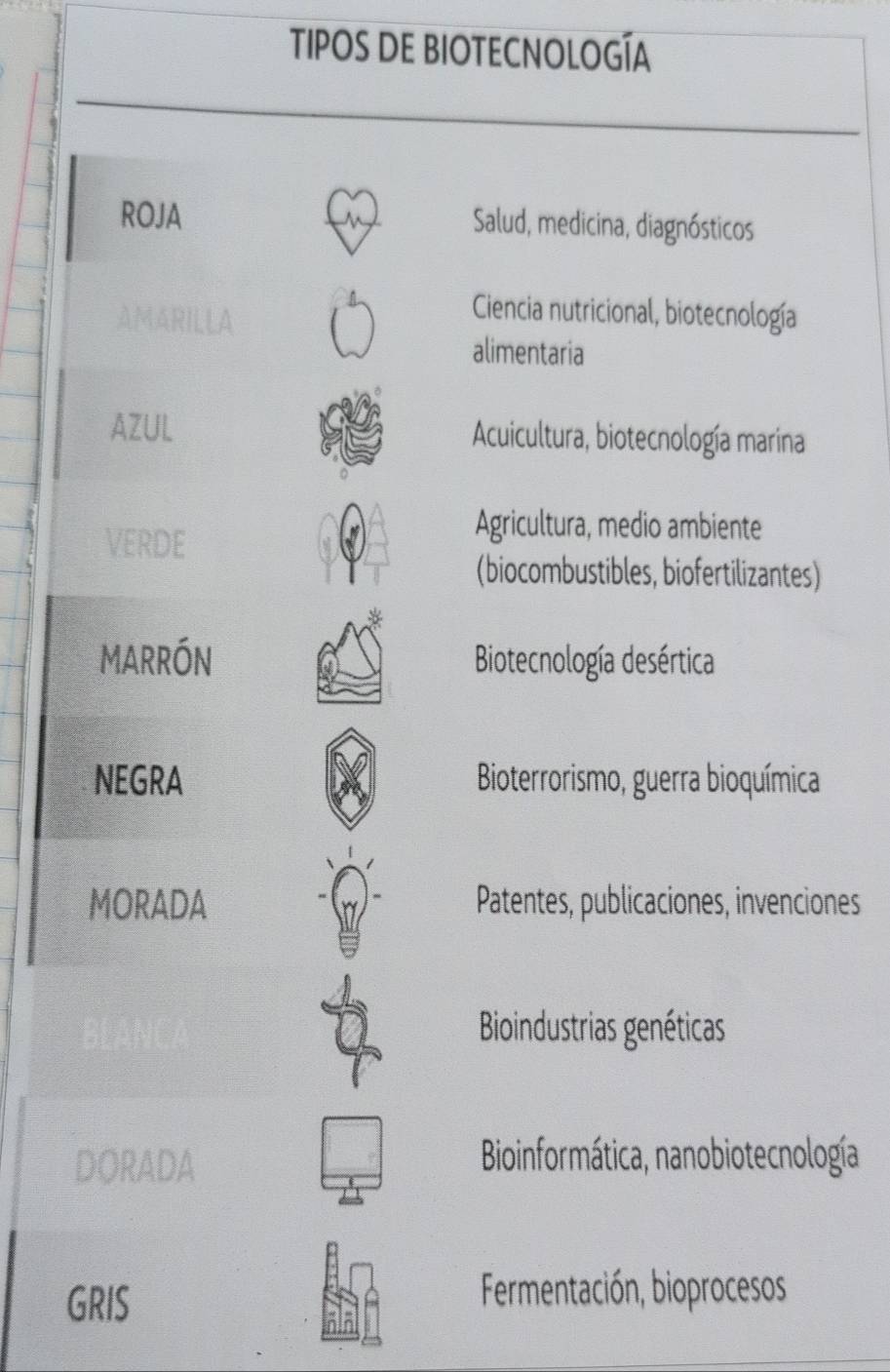 TIPOS DE BIOTECNOLOGÍA
ROJA Salud, medicina, diagnósticos
AMARILLA
Ciencia nutricional, biotecnología
alimentaria
AZUL Acuicultura, biotecnología maríina
VERDE
Agricultura, medio ambiente
(biocombustibles, biofertilizantes)
MARRóN Biotecnología desértica
NEGRA Bioterrorismo, guerra bioquímica
MORADA Patentes, publicaciones, invenciones
Bioindustrias genéticas
DORADA Bioinformática, nanobiotecnología
GRIS Fermentación, bioprocesos