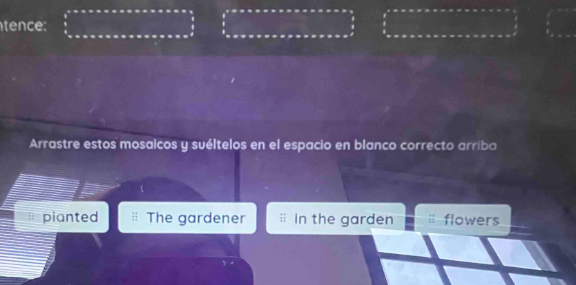 tence: 
Arrastre estos mosaicos y suéltelos en el espacio en blanco correcto arriba 
pianted The gardener In the garden flowers