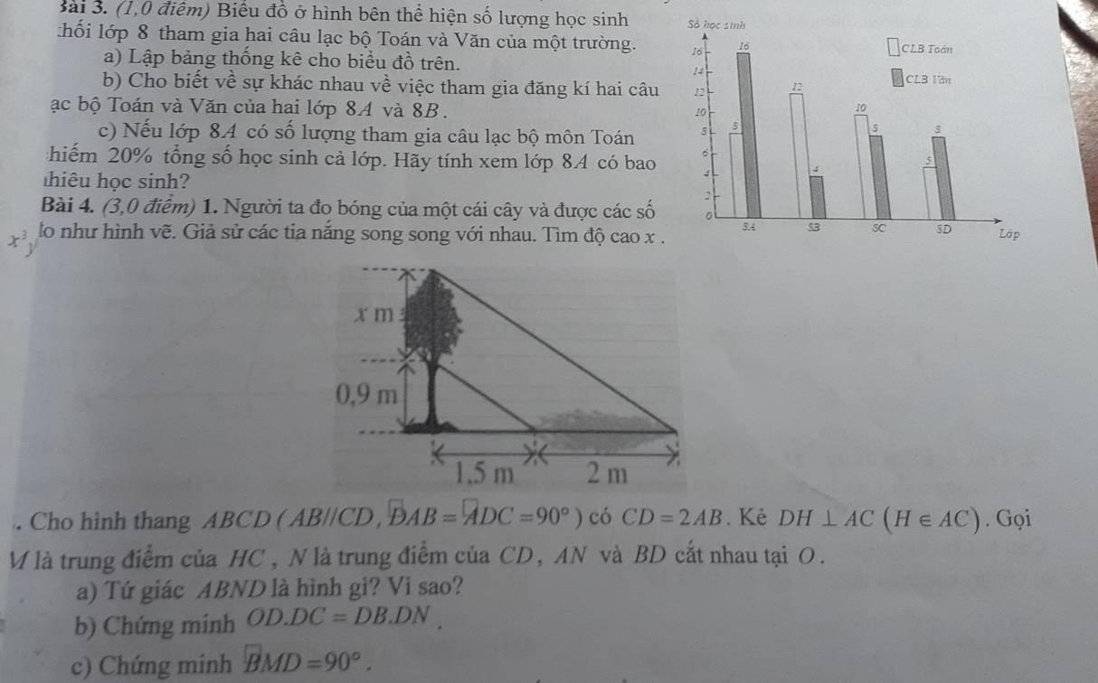 (1,0 điểm) Biểu đồ ở hình bên thể hiện số lượng học sinh 
:hối lớp 8 tham gia hai câu lạc bộ Toán và Văn của một trường. 
a) Lập bảng thống kê cho biểu đồ trên.
b) Cho biết về sự khác nhau về việc tham gia đăng kí hai câu
ạc bộ Toán và Văn của hai lớp 8A và 8B. 
c) Nếu lớp 8A có số lượng tham gia câu lạc bộ môn Toán
hiếm 20% tổng số học sinh cả lớp. Hãy tính xem lớp 84 có bao 
hiêu học sinh?
Bài 4. (3,0 điểm) 1. Người ta đo bóng của một cái cây và được các số
r^3 lo như hình vẽ. Giả sử các tia năng song song với nhau. Tìm độ cao x .
. Cho hình thang ABCD ( ABparallel CD,vector DAB=vector ADC=90°) à CD=2AB. Kẻ DH⊥ AC(H∈ AC). Gọi
V là trung điểm của HC , N là trung điểm của CD, AN và BD cắt nhau tại O.
a) Tứ giác ABND là hình gi? Vi sao?
b) Chứng minh OD.DC=DB.DN.
c) Chứng minh BMD=90°.
