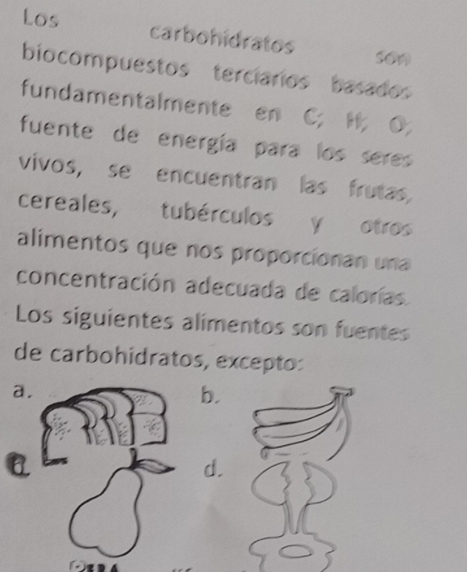 Los carbohidratos
son
biocompuestos terciarios basados
fundamentalmente en C; H, O,
fuente de energía para los seres
vivos, se encuentran las frutas,
cereales, tubérculos y otros
alimentos que nos proporcíonan una
concentración adecuada de calorías.
Los siguientes alimentos son fuentes
de carbohídratos, excepto:
a.
b.
a
d.