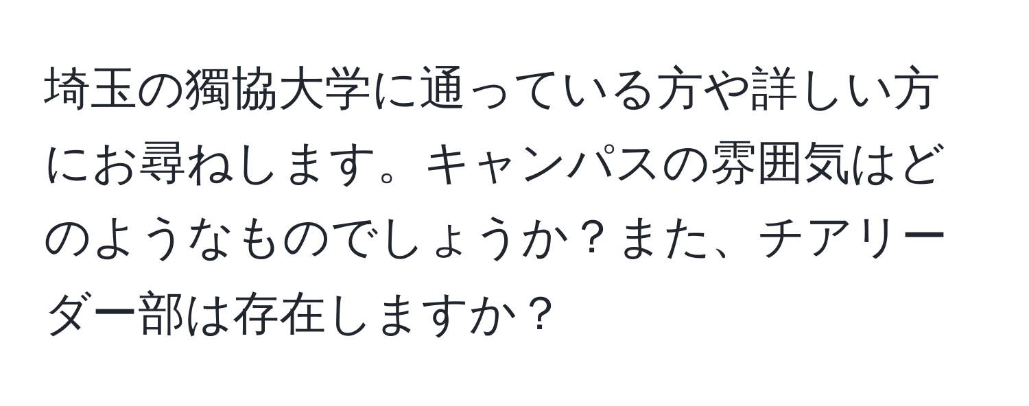 埼玉の獨協大学に通っている方や詳しい方にお尋ねします。キャンパスの雰囲気はどのようなものでしょうか？また、チアリーダー部は存在しますか？