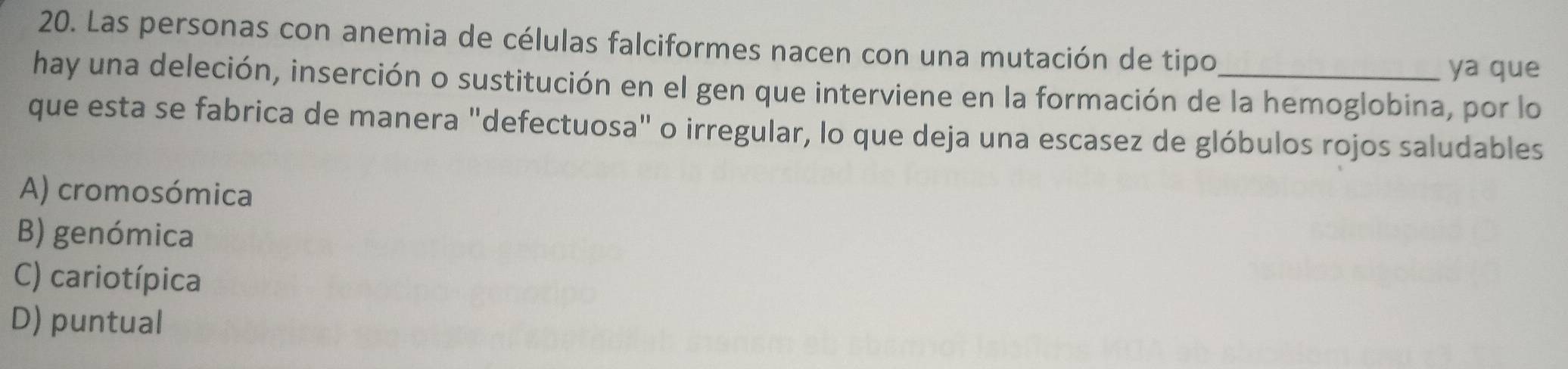 Las personas con anemia de células falciformes nacen con una mutación de tipo
ya que
hay una deleción, inserción o sustitución en el gen que interviene en la formación de la hemoglobina, por lo
que esta se fabrica de manera "defectuosa" o irregular, lo que deja una escasez de glóbulos rojos saludables
A) cromosómica
B) genómica
C) cariotípica
D) puntual