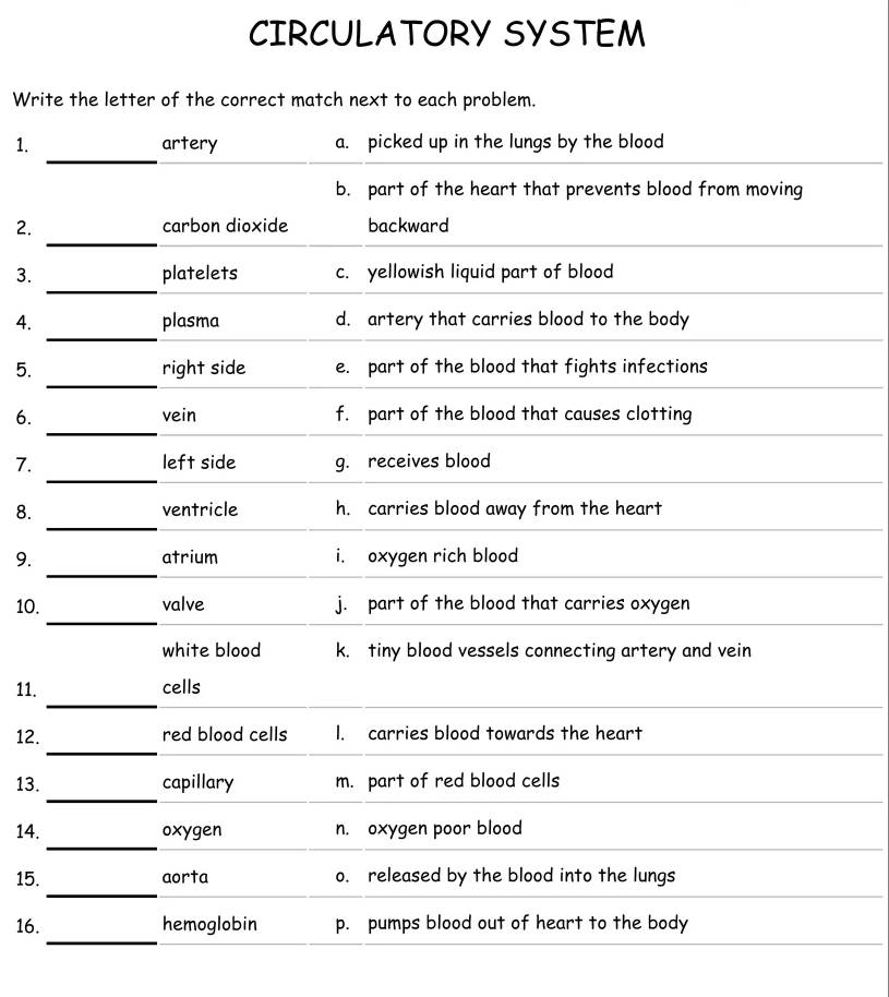 CIRCULATORY SYSTEM
Write the letter of the correct match next to each problem.
_
1. artery a. picked up in the lungs by the blood
b. part of the heart that prevents blood from moving
_
2. carbon dioxide backward
_
3. platelets c. yellowish liquid part of blood
_
4. plasma d. artery that carries blood to the body
_
5. right side e. part of the blood that fights infections
_
6. vein f. part of the blood that causes clotting
_
7. left side g. receives blood
_
8. ventricle h. carries blood away from the heart
_
9. atrium i. oxygen rich blood
_
10. valve j. part of the blood that carries oxygen
white blood k. tiny blood vessels connecting artery and vein
_
11. cells
_
12. red blood cells I. carries blood towards the heart
_
13. capillary m. part of red blood cells
_
14. oxygen n. oxygen poor blood
_
15. aorta o. released by the blood into the lungs
_
16. hemoglobin p. pumps blood out of heart to the body