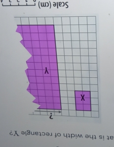 at is the width of rectangle Y? 
Scale (cm) . i A