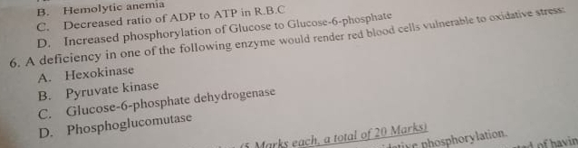 B. Hemolytic anemia
C. Decreased ratio of ADP to ATP in R.B.C
D. Increased phosphorylation of Glucose to Glucose -6 -phosphate
6. A deficiency in one of the following enzyme would render red blood cells vulnerable to oxidative stress:
A. Hexokinase
B. Pyruvate kinase
C. Glucose- 6 -phosphate dehydrogenase
D. Phosphoglucomutase
(5 Marks each, a total of 20 Marks)
ative phosphorylation.