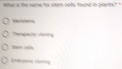 What is the name for stem cells found in plants? "
Meristems
Therapeutic cloning
Stem cells
Embryonic cloning