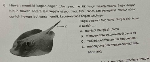 Hewan memiliki bagian-bagian tubuh yang memiliki fungsi masing-masing. Bagian-bagian
tubuh hewan antara lain kepala sayap, mata, kaki, paruh, dan sebagainya. Berikut adalah
contoh hewan laut yang memiliki keunikan pada bagian tubuhnya.
Fungsi bagian tubuh yang ditunjuk oleh huruf
X adalah ....
A. menjadi alat gerak utama
B. mempercepat pergerakan di dasar air
C. menjadi pertahanan diri dari predator
D. mendayung dan menjadi kemudi saat
berenang
manusia, misalnya tampak