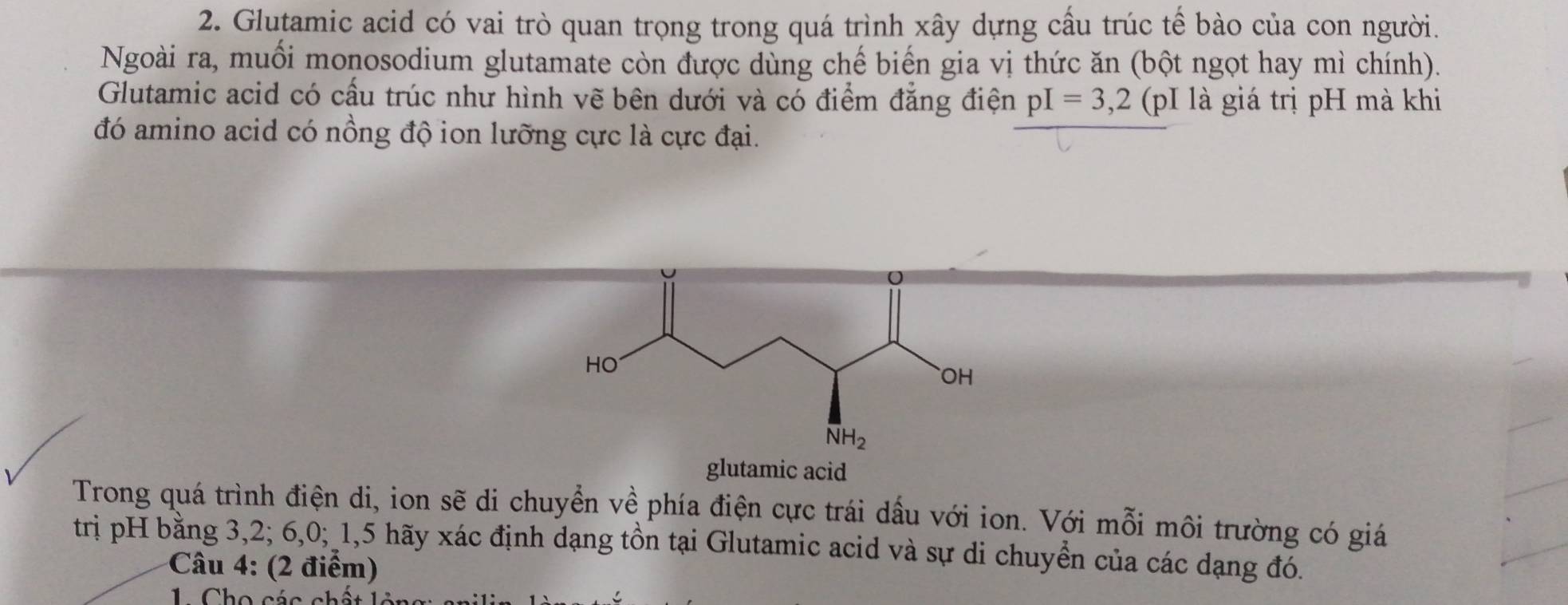 Glutamic acid có vai trò quan trọng trong quá trình xây dựng cấu trúc tế bào của con người. 
Ngoài ra, muối monosodium glutamate còn được dùng chế biến gia vị thức ăn (bột ngọt hay mì chính). 
Glutamic acid có cấu trúc như hình vẽ bên dưới và có điểm đẳng điện pI=3,2 (p là giá trị pH mà khi 
đó amino acid có nồng độ ion lưỡng cực là cực đại. 
HO 
OH
overline NH_2
glutamic acid 
Trong quá trình điện di, ion sẽ di chuyển về phía điện cực trái dấu với ion. Với mỗi môi trường có giá 
trị pH bằng 3, 2; 6, 0; 1, 5 hãy xác định dạng tồn tại Glutamic acid và sự di chuyển của các dạng đó. 
Câu 4: (2 điểm) 
Cho các chất