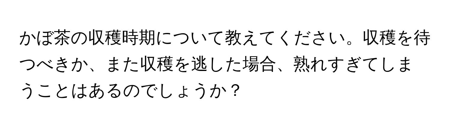 かぼ茶の収穫時期について教えてください。収穫を待つべきか、また収穫を逃した場合、熟れすぎてしまうことはあるのでしょうか？