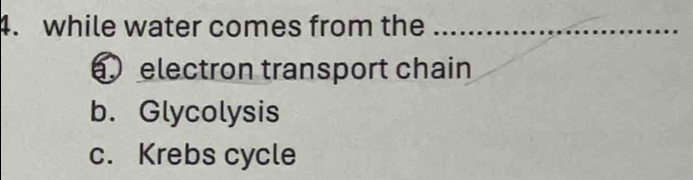 while water comes from the_
electron transport chain
b. Glycolysis
c. Krebs cycle