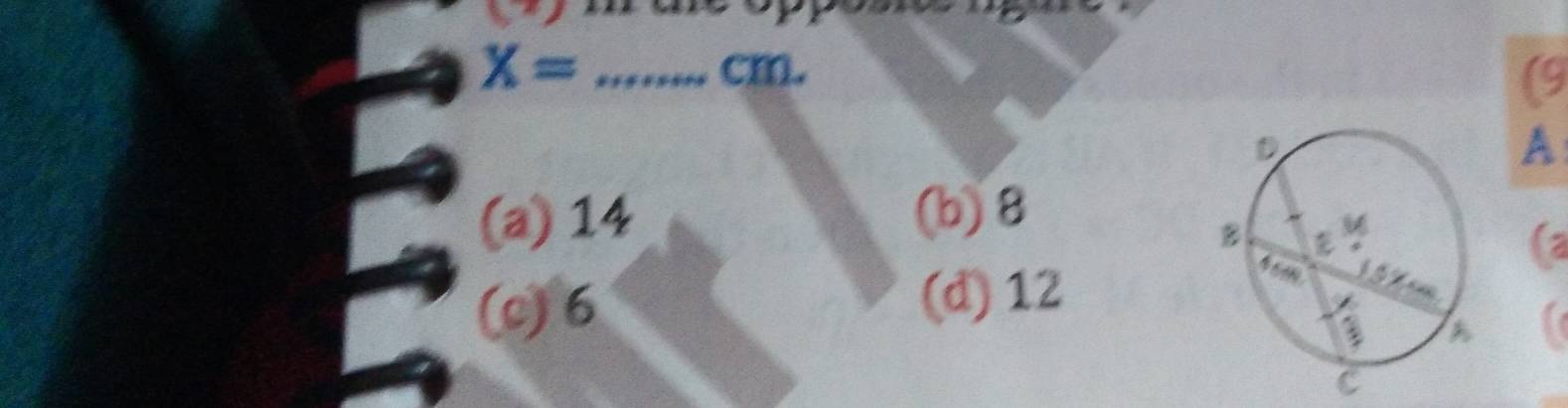 X= _ ..... cm.
(9
A
(a) 14 (b) 8
(a
(c) 6 (d) 12