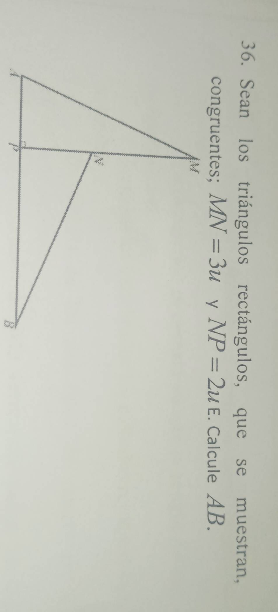 Sean los triángulos rectángulos, que se muestran, 
congruentes; MN=3u NP=2uE. Calcule AB.