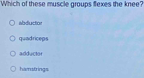 Which of these muscle groups flexes the knee?
abductor
quadriceps
adductor
hamstrings