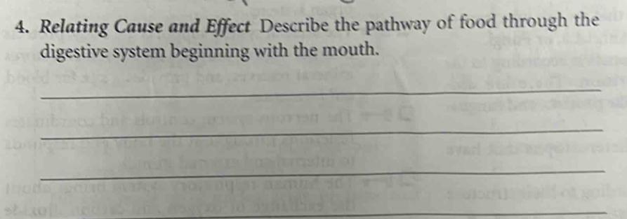 Relating Cause and Effect Describe the pathway of food through the 
digestive system beginning with the mouth. 
_ 
_ 
_ 
_