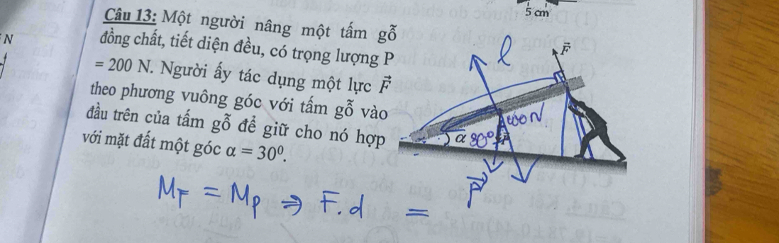 5 cm
Câu 13: Một người nâng một tấm ghat O^((sim)
N 
đồng chất, tiết diện đều, có trọng lượng
=200N T. Người ấy tác dụng một lực vector F)
theo phương vuông góc với tấm ghat 0^((sim) vào 
đầu trên của tấm gỗ để giữ cho nó hợp 
với mặt đất một góc alpha =30^circ).