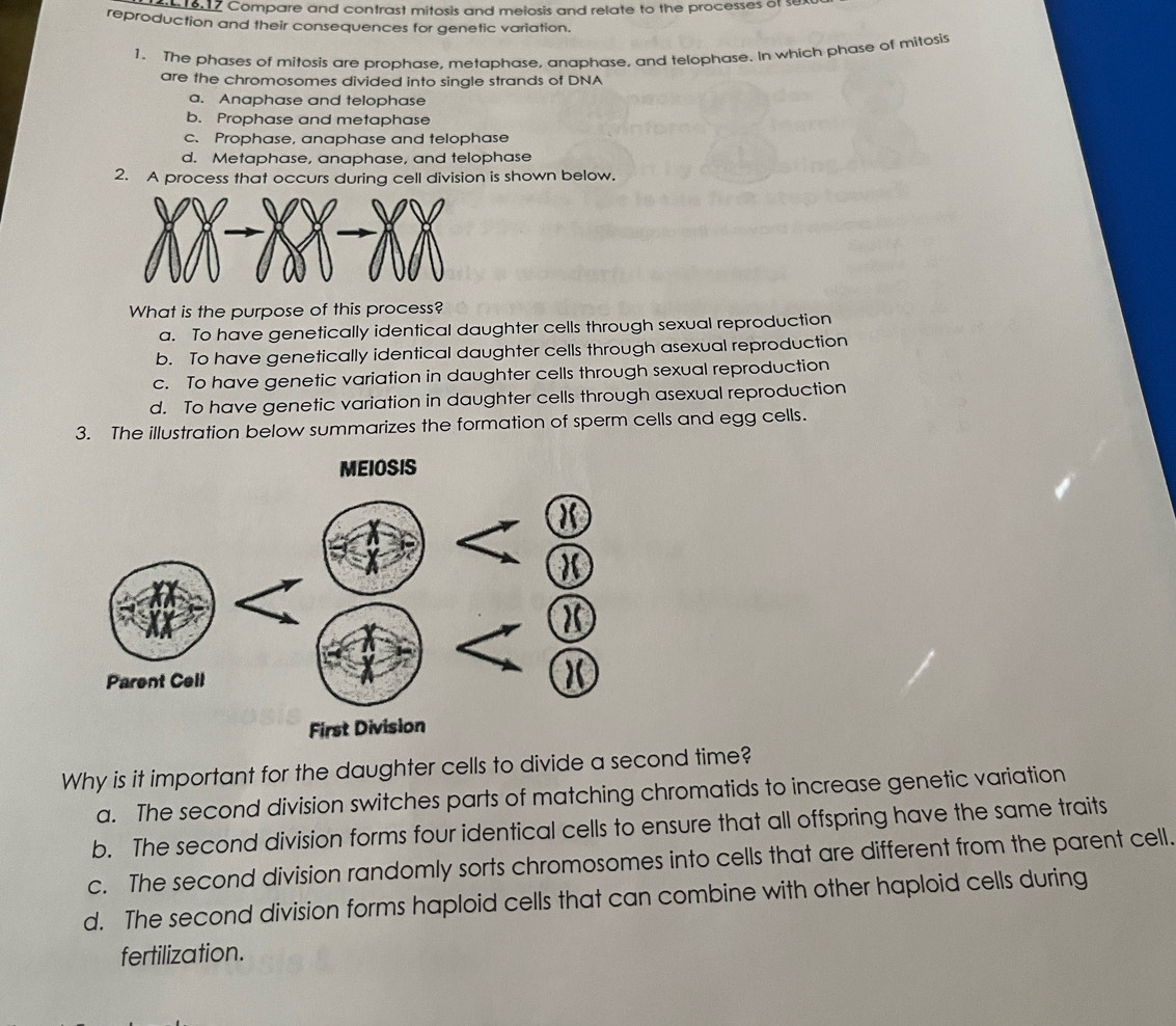 16,17 Compare and contrast mitosis and meiosis and relate to the processes of sext
reproduction and their consequences for genetic variation.
1. The phases of mitosis are prophase, metaphase, anaphase, and telophase. In which phase of mitosis
are the chromosomes divided into single strands of DNA
a. Anaphase and telophase
b. Prophase and metaphase
c. Prophase, anaphase and telophase
d. Metaphase, anaphase, and telophase
2. A process that occurs during cell division is shown below.
What is the purpose of this process?
a. To have genetically identical daughter cells through sexual reproduction
b. To have genetically identical daughter cells through asexual reproduction
c. To have genetic variation in daughter cells through sexual reproduction
d. To have genetic variation in daughter cells through asexual reproduction
3. The illustration below summarizes the formation of sperm cells and egg cells.
Why is it important for the daughter cells to divide a second time?
a. The second division switches parts of matching chromatids to increase genetic variation
b. The second division forms four identical cells to ensure that all offspring have the same traits
c. The second division randomly sorts chromosomes into cells that are different from the parent cell.
d. The second division forms haploid cells that can combine with other haploid cells during
fertilization.