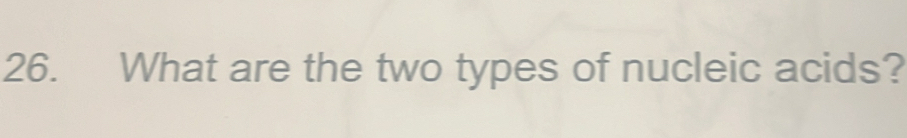 What are the two types of nucleic acids?