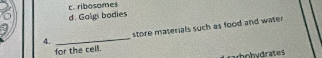 c. ribosome$
d. Golgi bodies
store materials such as food and water
4.
_
for the cell.
arbohydrates