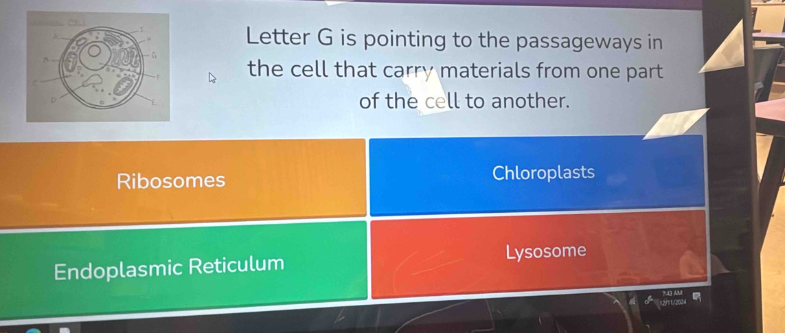 Letter G is pointing to the passageways in
the cell that carry materials from one part 
of the cell to another.
Ribosomes Chloroplasts
Endoplasmic Reticulum
Lysosome
7:43 AM
12/11/2024