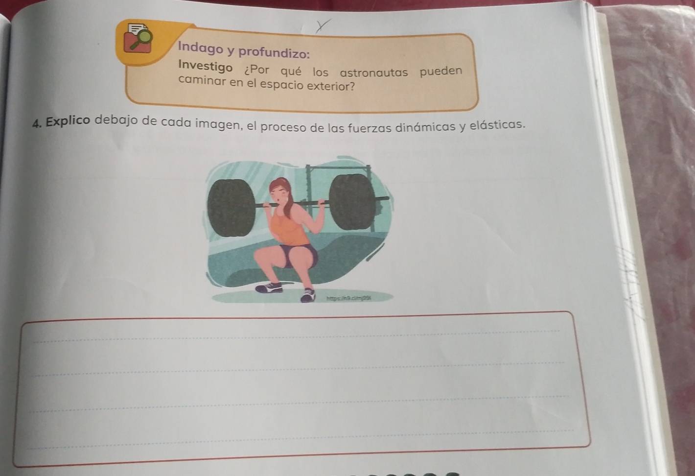 Indago y profundizo: 
Investigo ¿Por qué los astronautas pueden 
caminar en el espacio exterior? 
4. Explico debajo de cada imagen, el proceso de las fuerzas dinámicas y elásticas. 
_ 
_ 
_ 
_ 
_ 
_ 
_ 
_ 
_