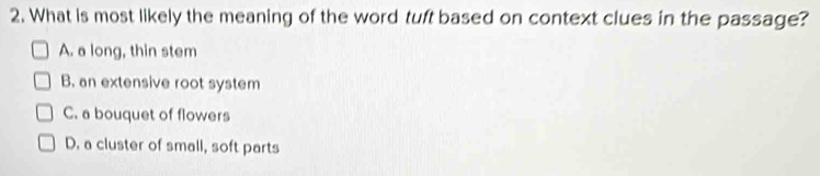 What is most likely the meaning of the word tuft based on context clues in the passage?
A. a long, thin stem
B. an extensive root system
C. a bouquet of flowers
D. a cluster of small, soft parts