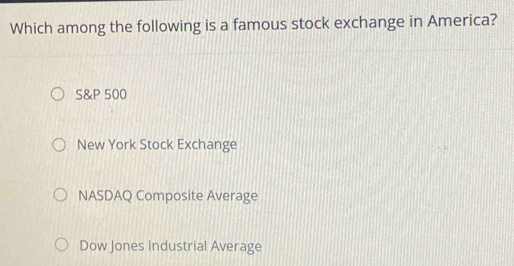 Which among the following is a famous stock exchange in America?
S&P 500
New York Stock Exchange
NASDAQ Composite Average
Dow Jones Industrial Average