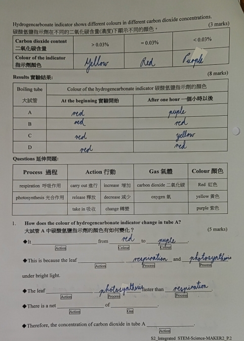 Hydrogencarbonate indicator shows different colours in different carbon dioxide concentrations.
(3 marks)
1. How does the colour of hydrogencarbonate indicator change in tube A?
A ？ (5 marks)
It_ from_ to_
Colou
Action Colou
This is because the leaf
_
__
and
Action Process Process
under bright light.
The leaf_ __faster than_
Action Process Process
There is a net_ of_ .
Action Gas
Therefore, the concentration of carbon dioxide in tube A _.
Action
S2 Integrated STEM-Science-MAKER2_P.2